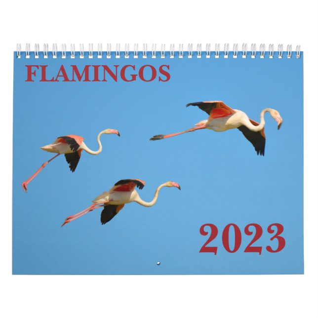 Calendario de flamencos (Tapa)