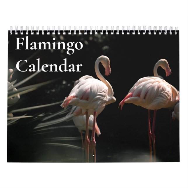 Calendario de Flamencos 2027 (Tapa)