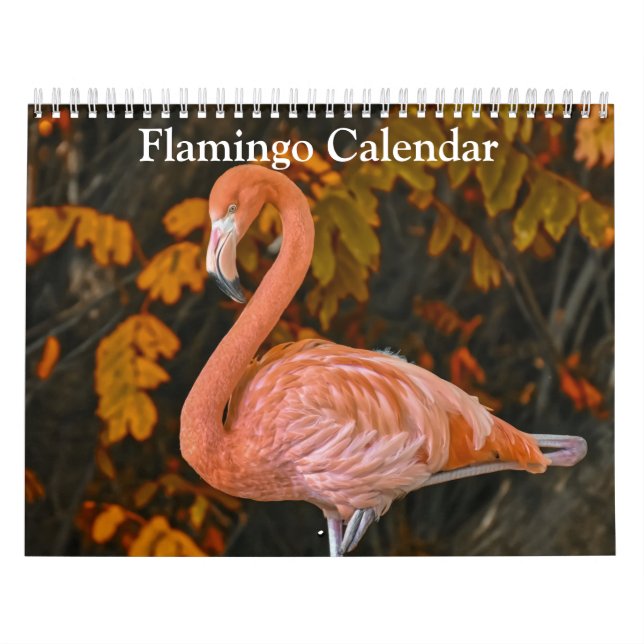 Calendario de Flamencos 2027 (Tapa)