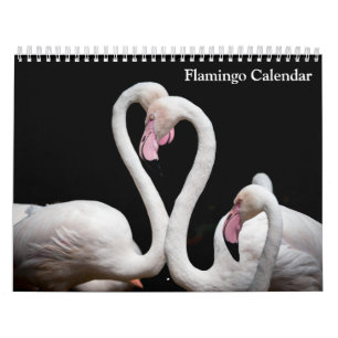 Calendario de Flamencos 2027