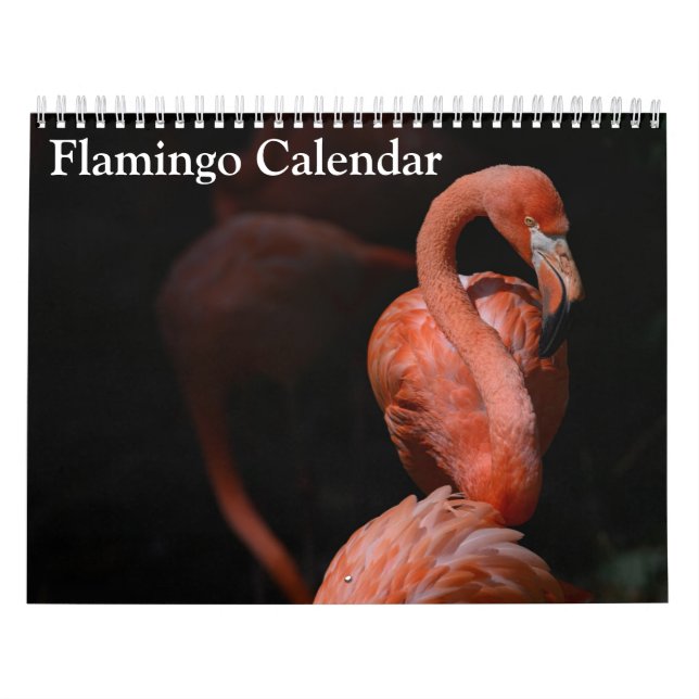 Calendario de Flamencos 2027 (Tapa)
