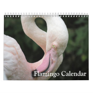 Calendario de Flamingo 2025
