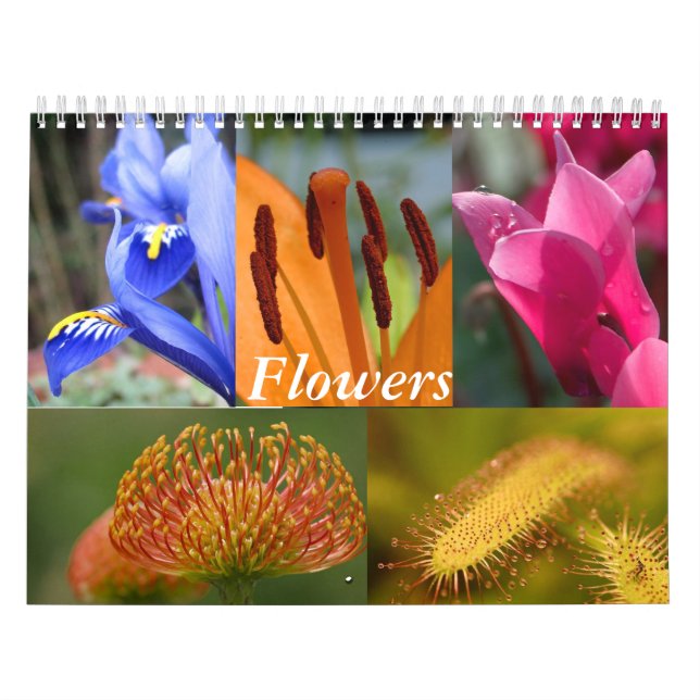 Calendario de flores (Tapa)