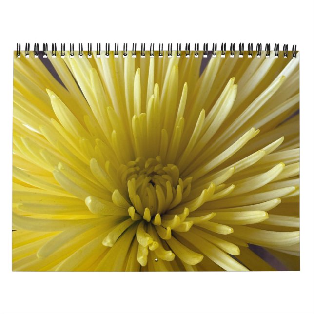 Calendario de flores (Tapa)