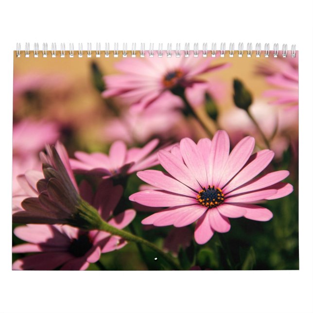 Calendario de flores (Tapa)