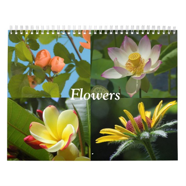 Calendario de flores (Tapa)