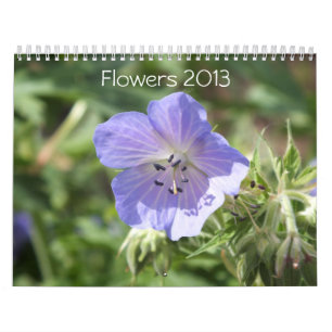 CALENDARIO DE FLORES 2013 (16 MESES)