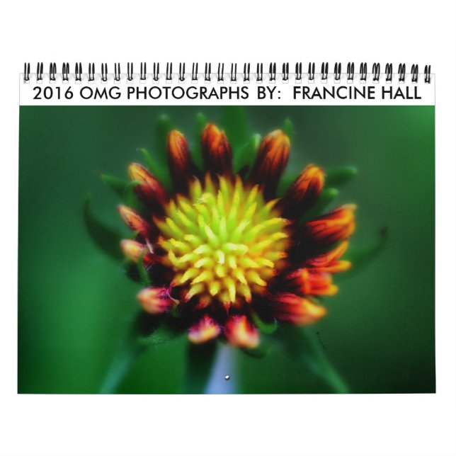 Calendario de flores de 2016 (Tapa)