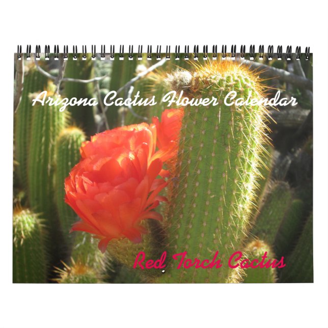 Calendario de flores de Arizona Cactus (Tapa)