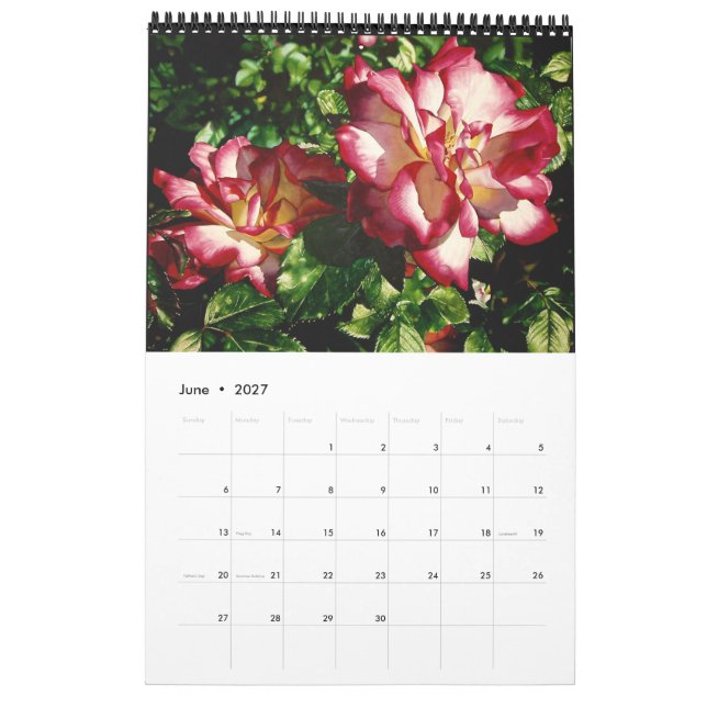 Calendario de flores de color de agua (Jun 2027)