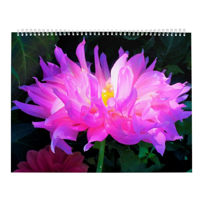 Calendario de flores de Dahlia 2025 (Tapa)