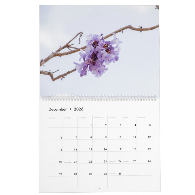 Calendario de flores de Jacaranda (Dec 2026)