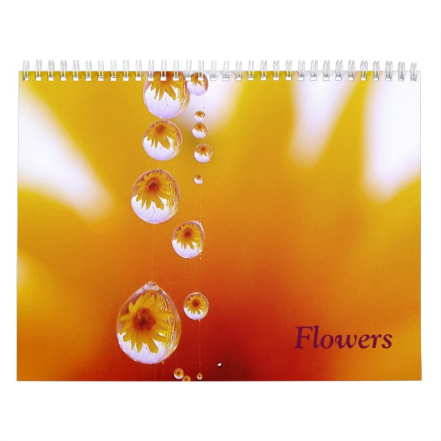 Calendario de flores de Linda Murphy (Tapa)