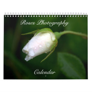 Calendario de Flores Fotográficas de rosas