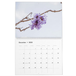 Calendario de Flores Jacaranda