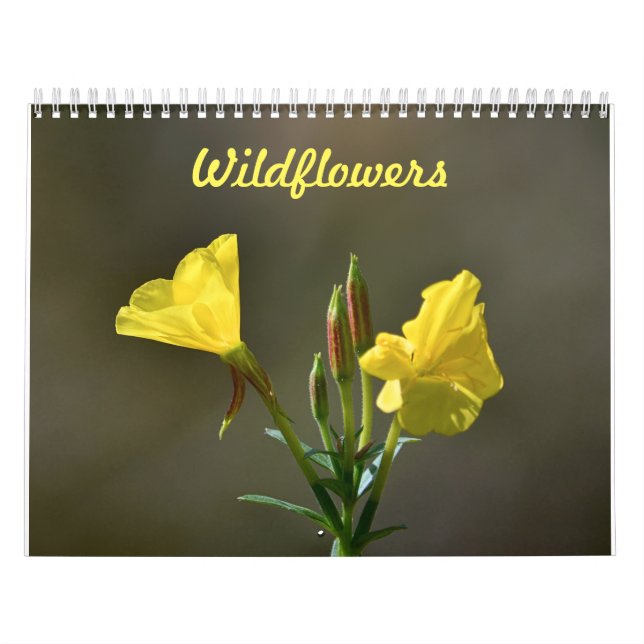 Calendario de flores silvestres (Tapa)