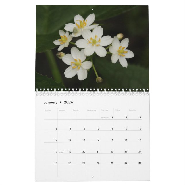 Calendario de Flores Silvestres de Tennessee 2013 (Jan 2026)