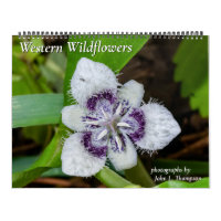 Calendario de flores silvestres occidentales para 