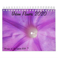 Calendario de flores urbanas 2020