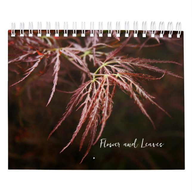 Calendario de flores y hojas (Tapa)