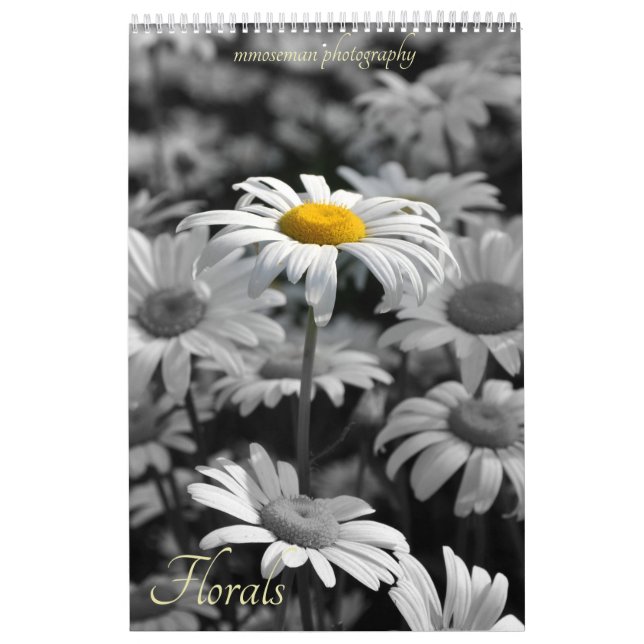 Calendario de florines (Tapa)