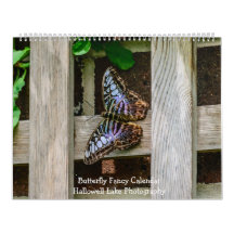 Calendario de flotación de mariposas