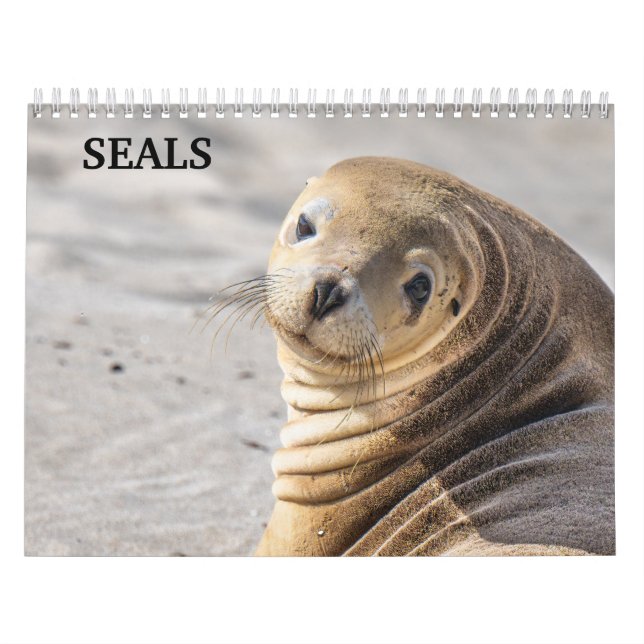Calendario de focas león marino 2026 (Tapa)