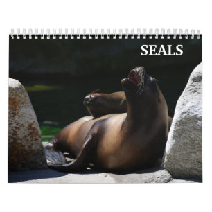 Calendario de focas león marino 2026