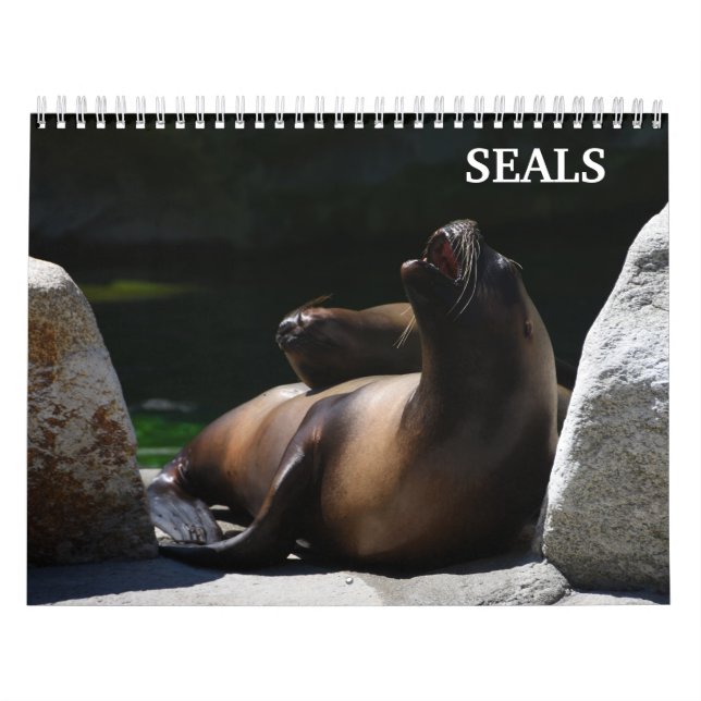 Calendario de focas león marino 2026 (Tapa)