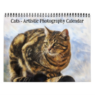Calendario de fotografía artística de gatos
