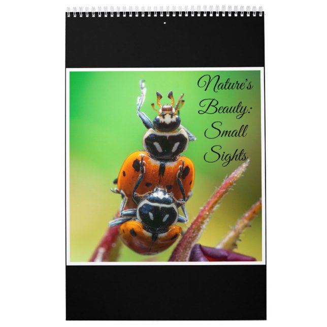 Calendario de Fotografía Artística Macro de Natura (Tapa)