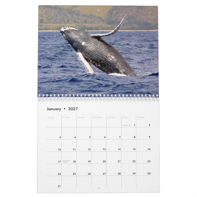 Calendario de fotografía de ballena (Jan 2027)
