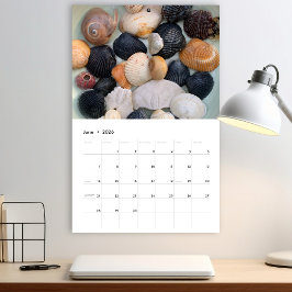 Calendario de Fotografía de Conchas Marinas de Flo