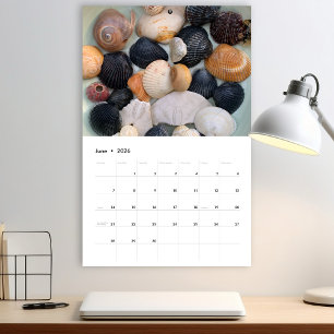 Calendario de Fotografía de Conchas Marinas de Flo