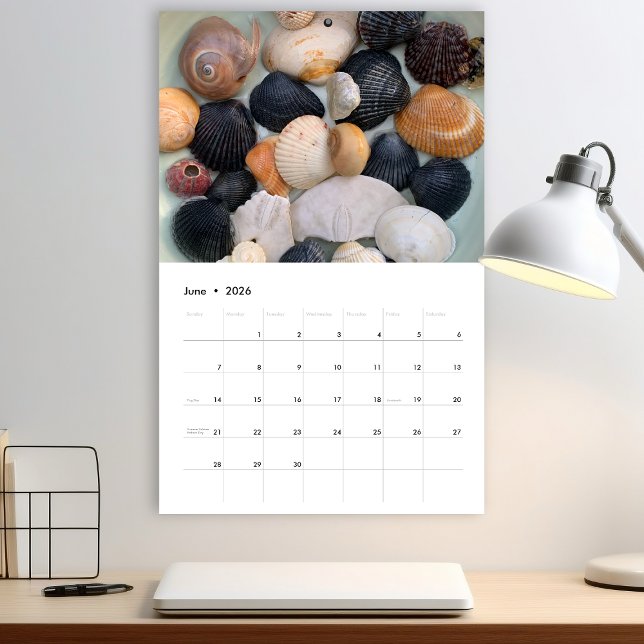 Calendario de Fotografía de Conchas Marinas de Flo (Subido por el creador)