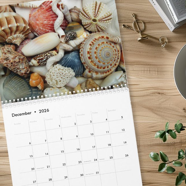 Calendario de Fotografía de Conchas Marinas de Tod (Subido por el creador)