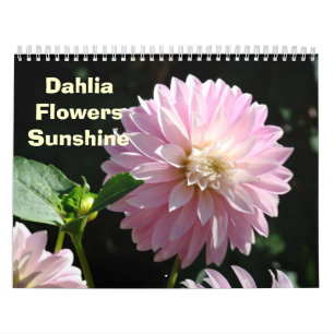 Calendario de Fotografía de Flores FLORES DE DALIA
