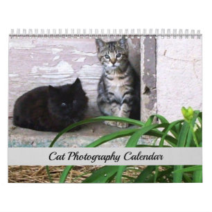 Calendario de Fotografía de Gatos Originales de Sg
