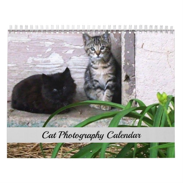 Calendario de Fotografía de Gatos Originales de Sg (Tapa)