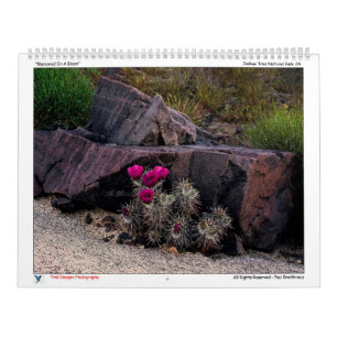 Calendario de fotografía de imágenes de rastreo