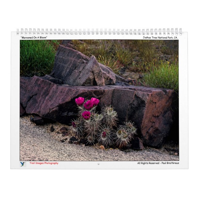 Calendario de fotografía de imágenes de rastreo (Tapa)