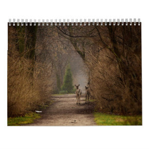 Calendario de Fotografía de Influencia Natural 20