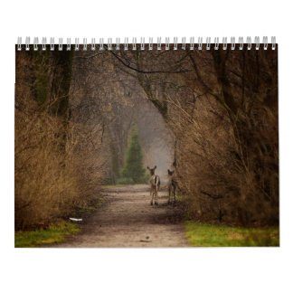 Calendario de Fotografía de Influencia Natural 201