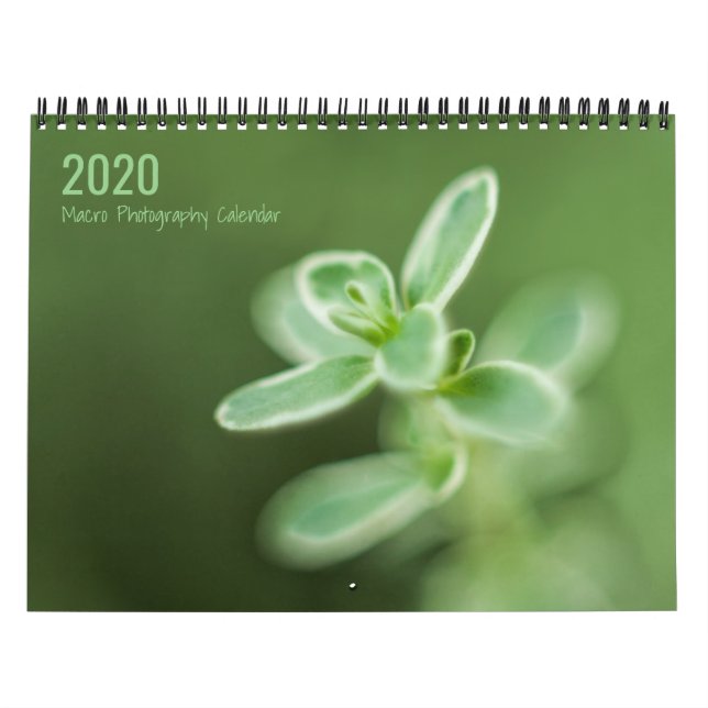 Calendario de fotografía de macros (Tapa)
