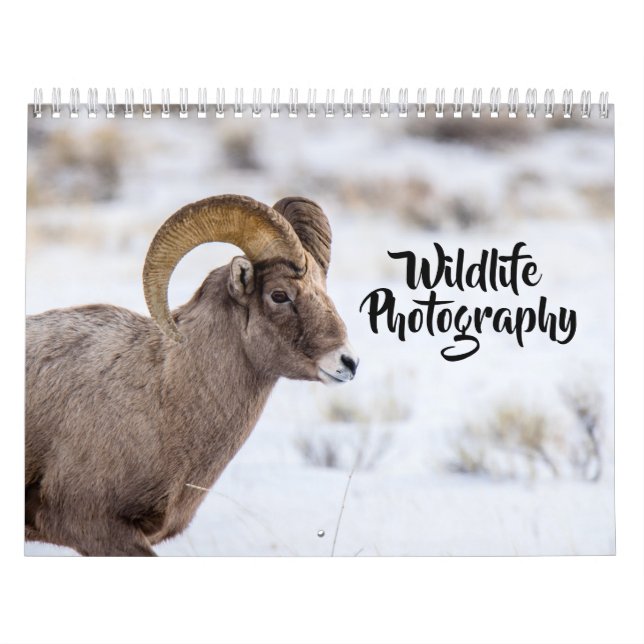 Calendario de Fotografía de Vida Silvestre (Tapa)