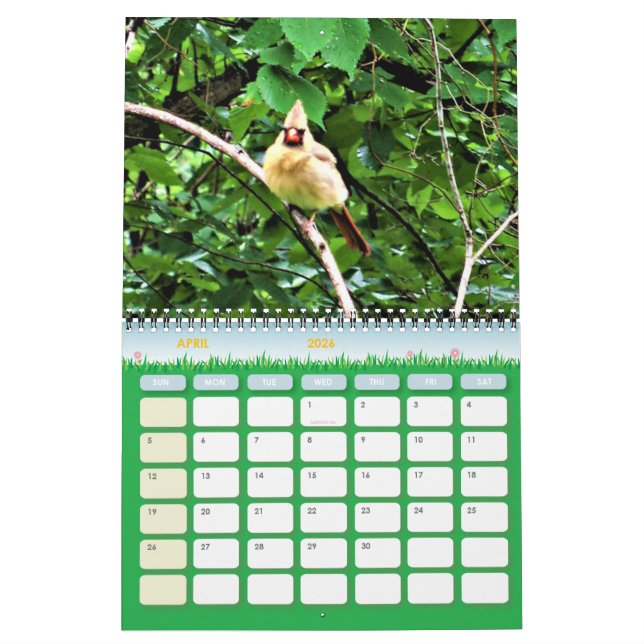 Calendario de Fotografía de Vida Silvestre (Apr 2026)