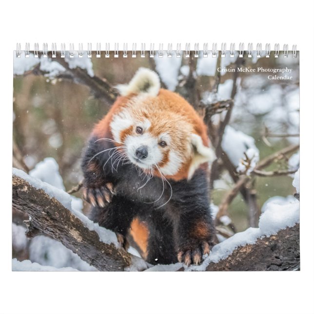 Calendario de fotografía de vida silvestre (Tapa)
