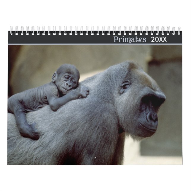 Calendario de Fotografía de Vida Silvestre de Prim (Tapa)