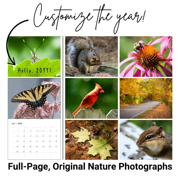 Calendario de fotografía de vida silvestre en el p (Beautiful images of nature fill this wildlife calendar for 2026. )