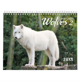 Calendario de fotografía de vida silvestre Wolves 
